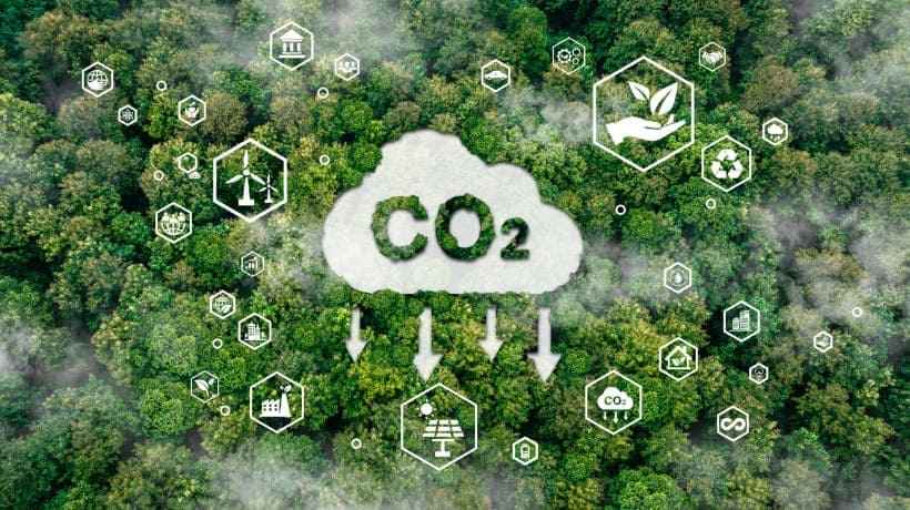 What is Carbon Management? Why It Matters for Our Planet